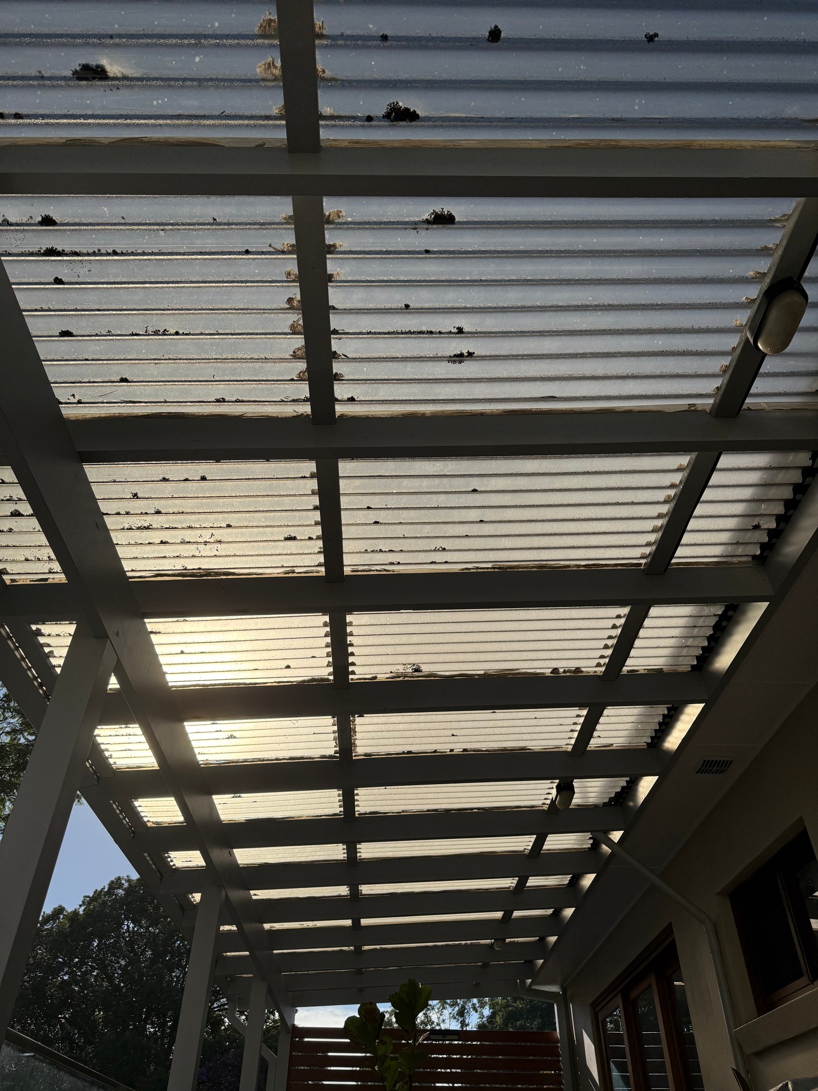 Before: old polycarbonate roofing
